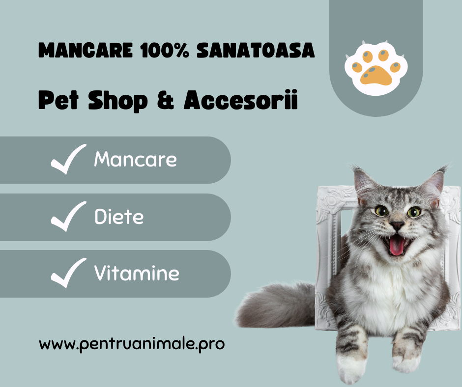 Mâncare Animale de Companie Bucuresti