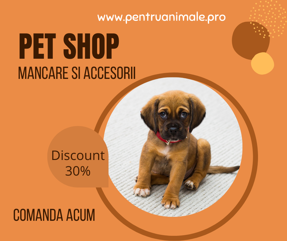 Pet Shop Ploiesti Prahova
