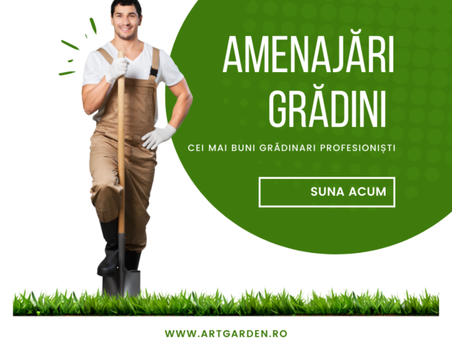 ArtGarden.ro: Soluția Completă pentru Întreținerea și Decorarea Grădinii Tale