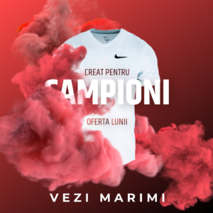 NikeCourtDriFitVictory